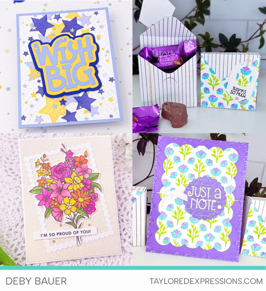 Deby Bauer Second Chance Inpso